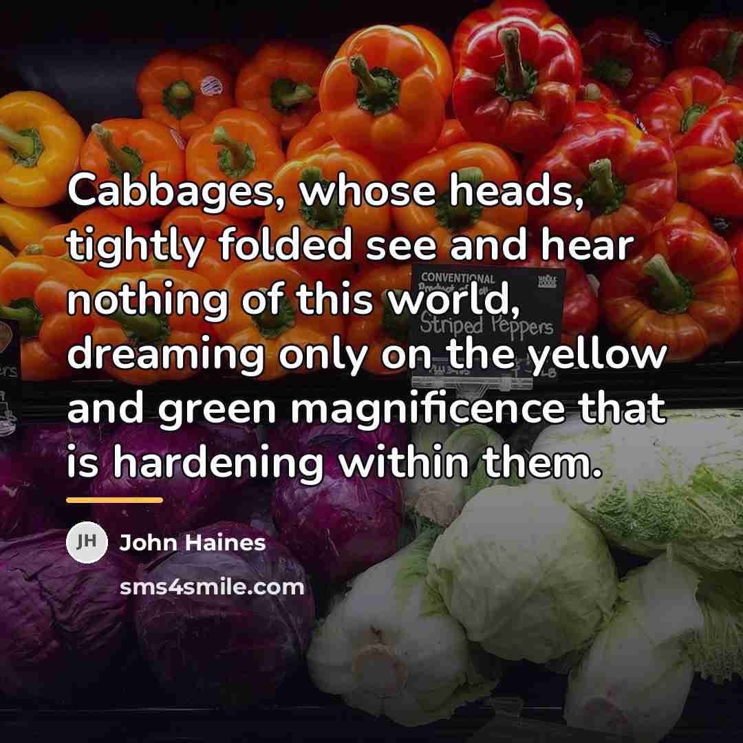 “Cabbages, whose heads, tightly folded see and hear nothing of…” quote by John Haines