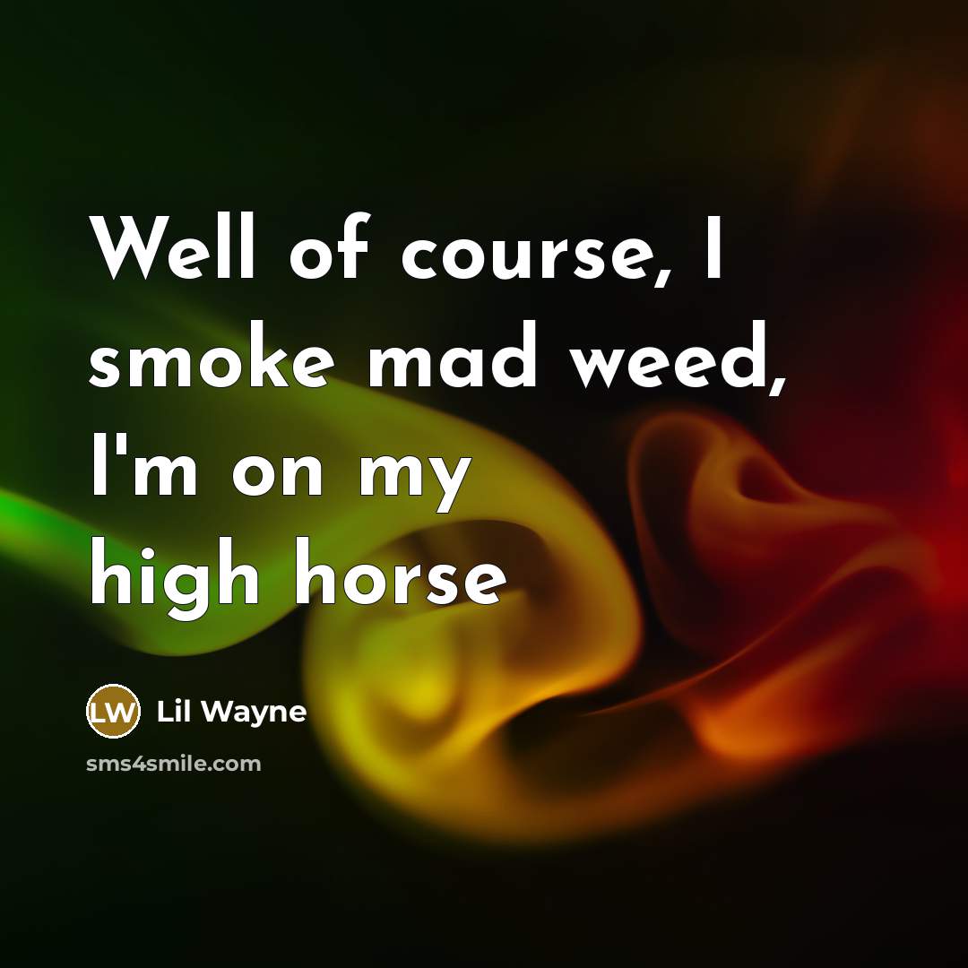 “Well of course, I smoke mad weed, I'm on my…” quote by Lil Wayne
