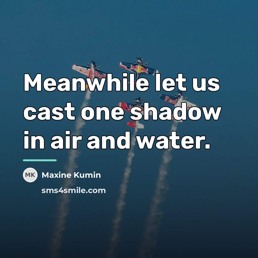 “Meanwhile let us cast one shadow in air and water.…” quote by Maxine Kumin