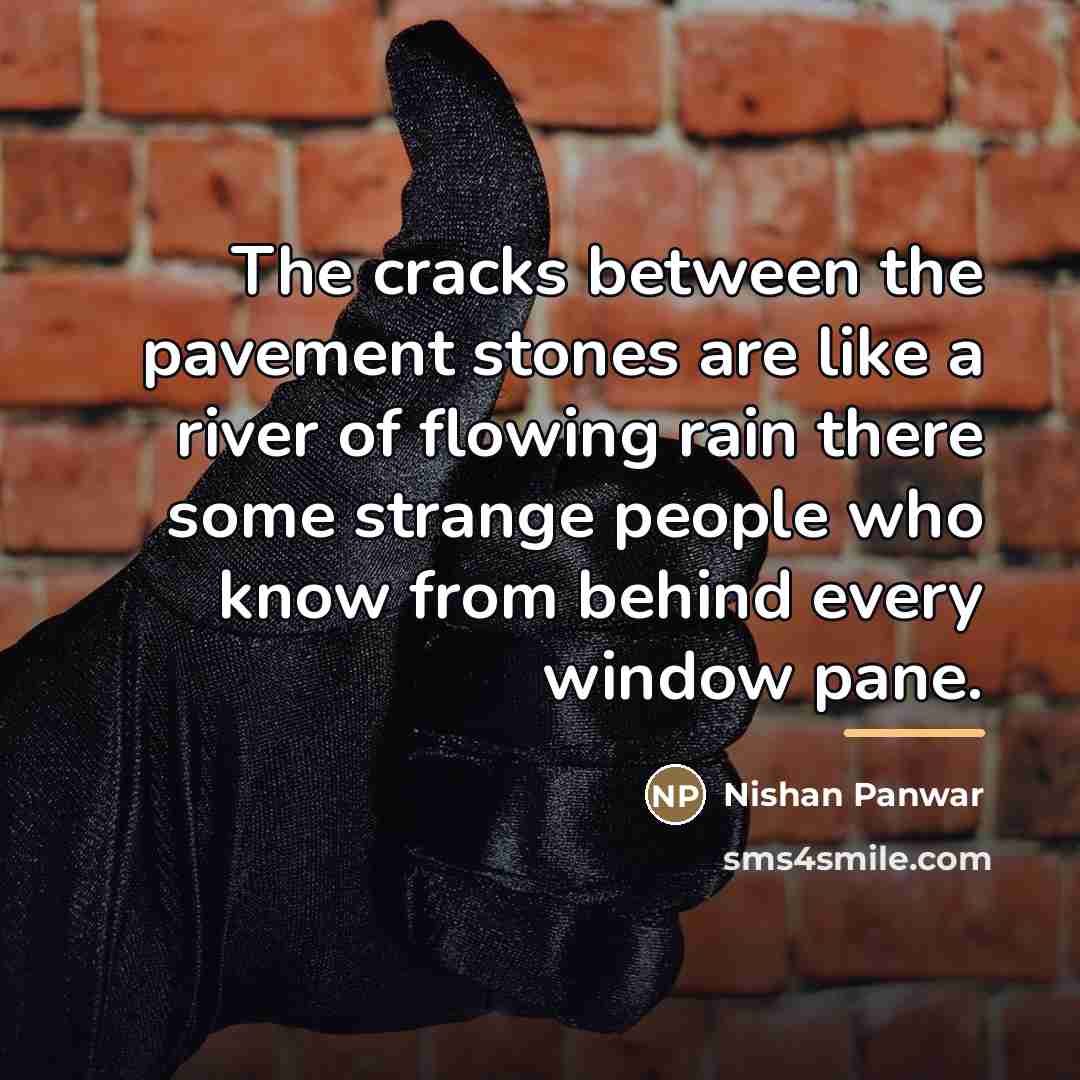 “The cracks between the pavement stones are like a river…” quote by Nishan Panwar