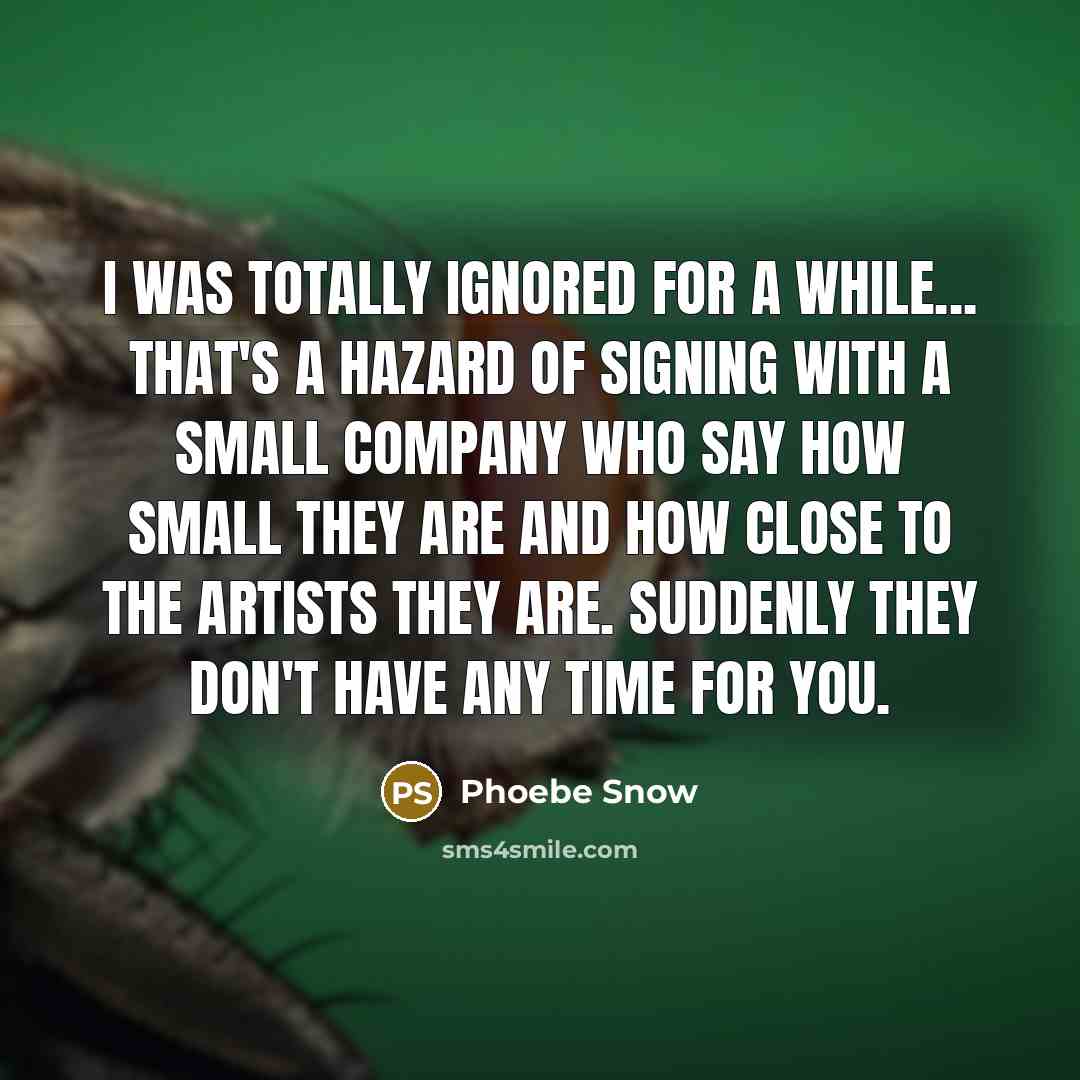“I was totally ignored for a while... that's a hazard…” quote by Phoebe Snow