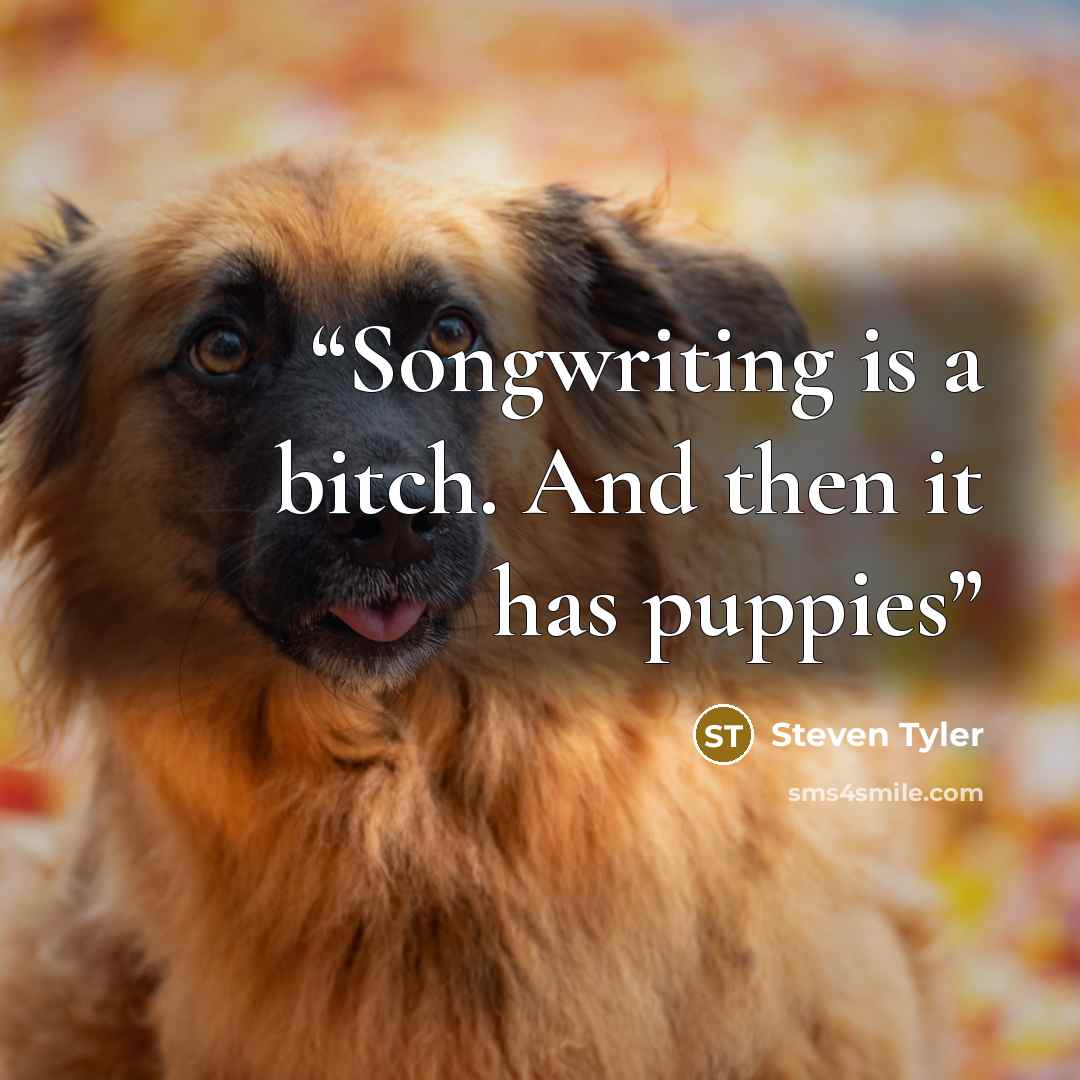 “Songwriting is a bitch. And then it has puppies” quote by Steven Tyler