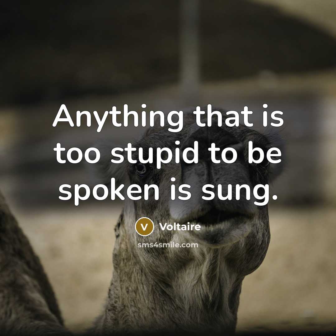 “Anything that is too stupid to be spoken is sung.…” quote by Voltaire
