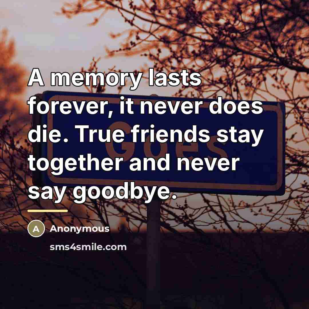 “A memory lasts forever, it never does die. True friends…” quote by Anonymous