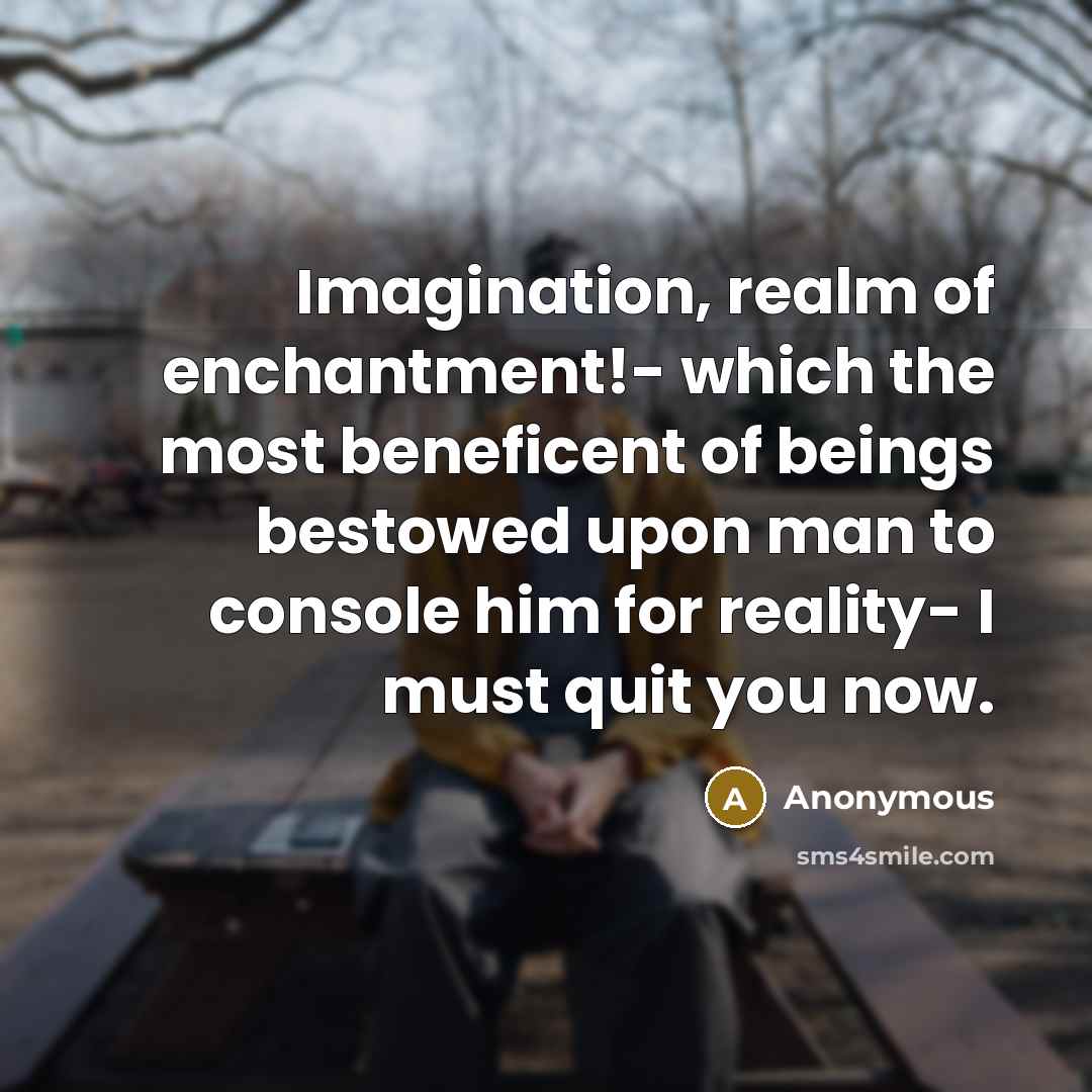 “Imagination, realm of enchantment!- which the most beneficent of beings bestowed upon man to console him for reality- I must quit you now.” quote by Anonymous