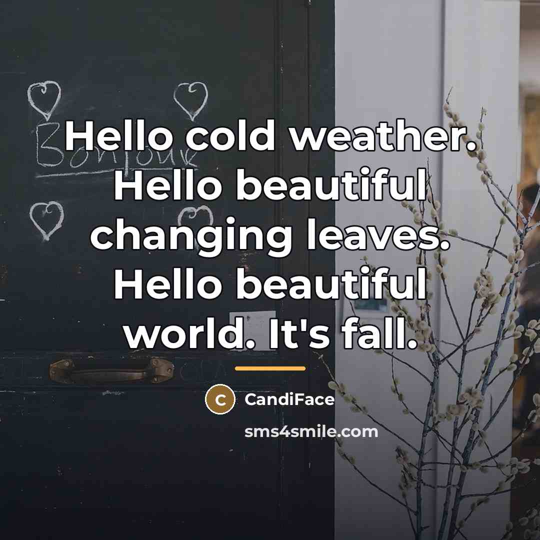 “Hello cold weather. Hello beautiful changing leaves. Hello beautiful world.…” quote by CandiFace