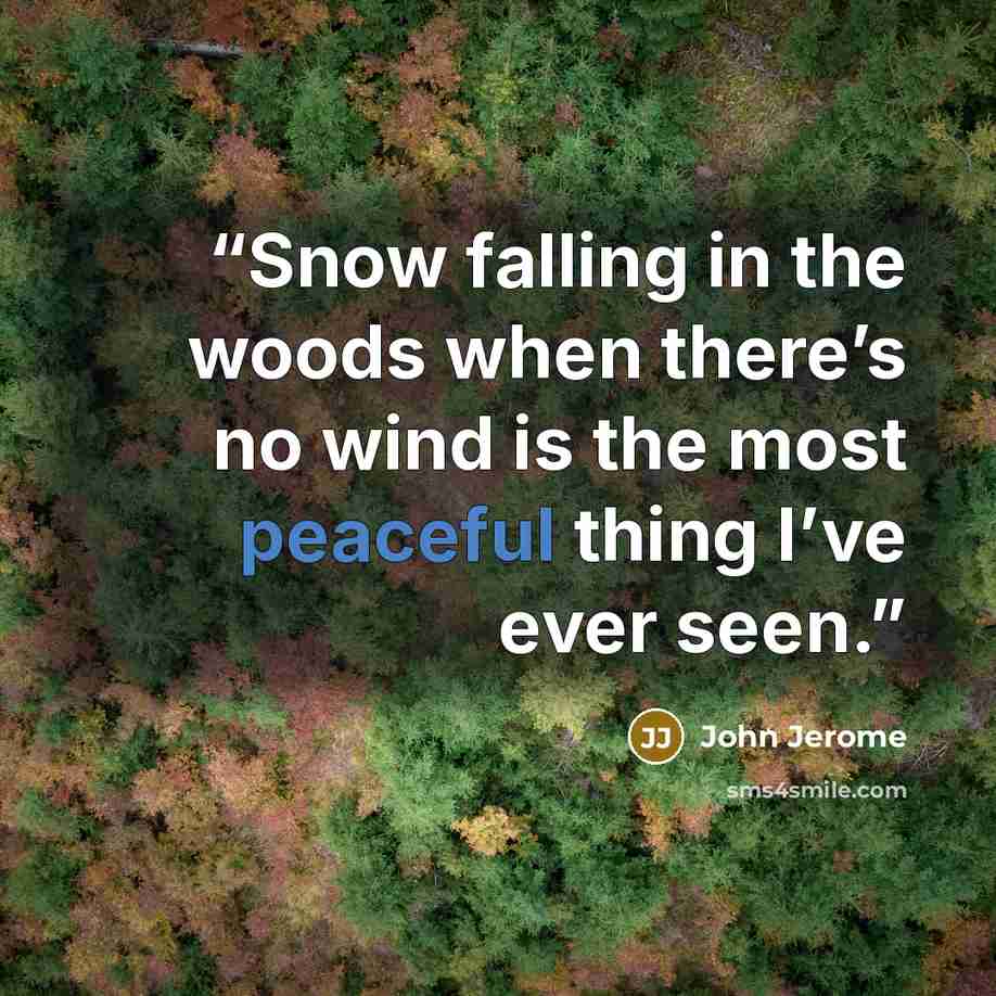 “Snow falling in the woods when there’s no wind is the most peaceful thing I’ve ever seen.” quote by John Jerome