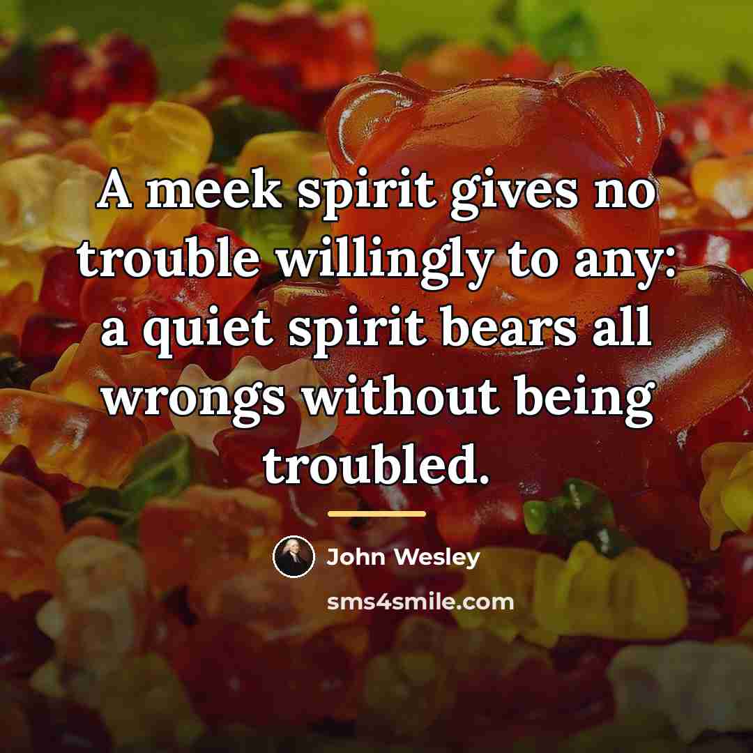 “A meek spirit gives no trouble willingly to any: a…” quote by John Wesley