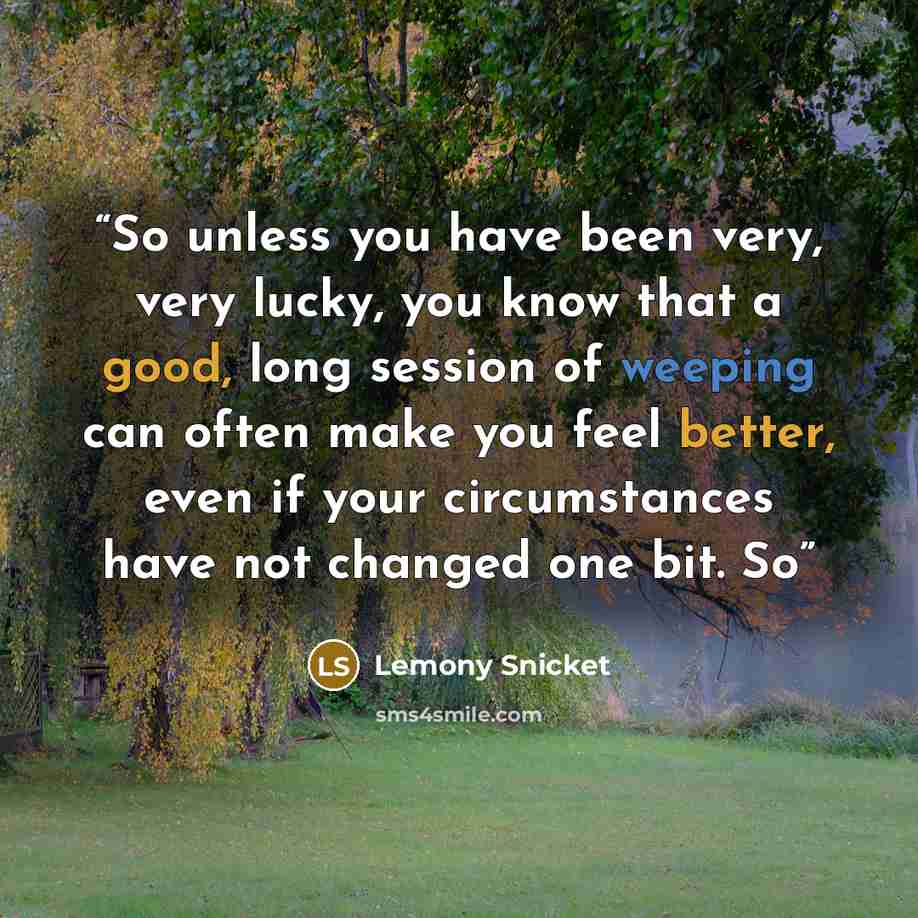 “So unless you have been very, very lucky, you know that a good, long session of weeping can often make you feel better, even if your circumstances have not changed one bit. So” quote by Lemony Snicket