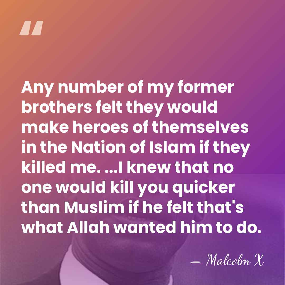 Any number of my former brothers felt they would make heroes of&hellip; - Malcolm X