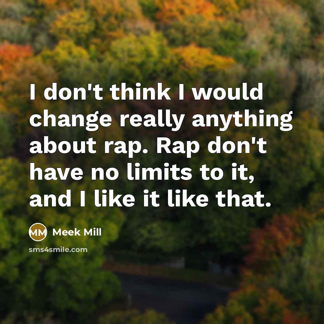 “I don't think I would change really anything about rap.…” quote by Meek Mill