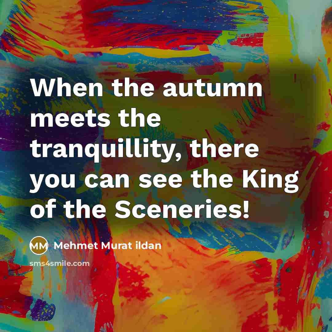 “When the autumn meets the tranquillity, there you can see…” quote by Mehmet Murat Ildan
