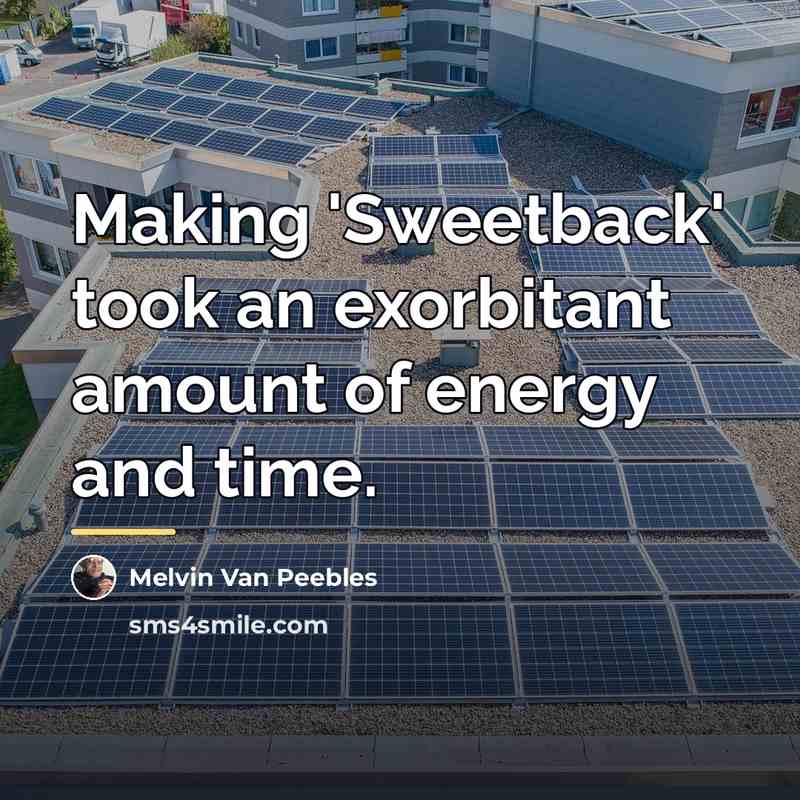 “Making 'Sweetback' took an exorbitant amount of energy and time.…” quote by Melvin Van Peebles