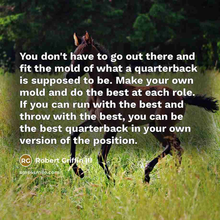 “You don't have to go out there and fit the…” quote by Robert Griffin III