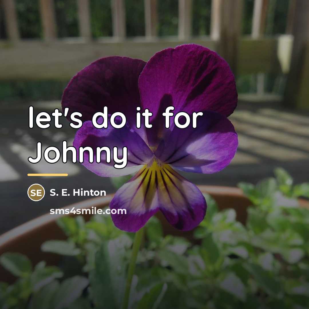 “let's do it for Johnny…” quote by S. E. Hinton