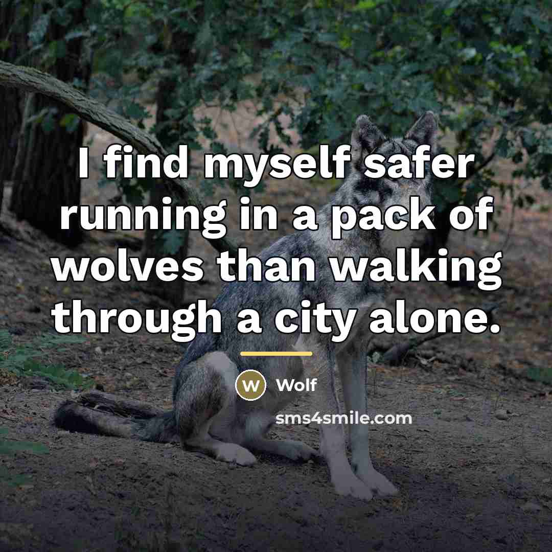 “I find myself safer running in a pack of wolves…” quote by Wolf