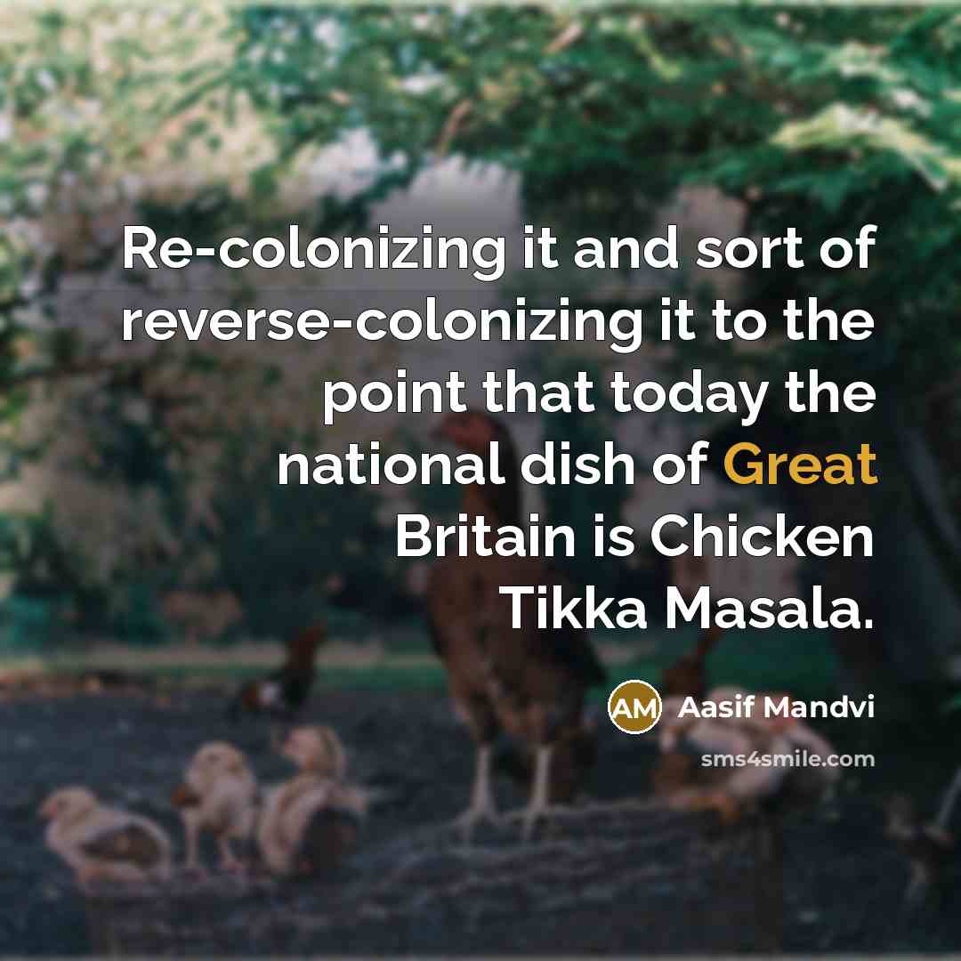 “Re-colonizing it and sort of reverse-colonizing it to the point…” quote by Aasif Mandvi