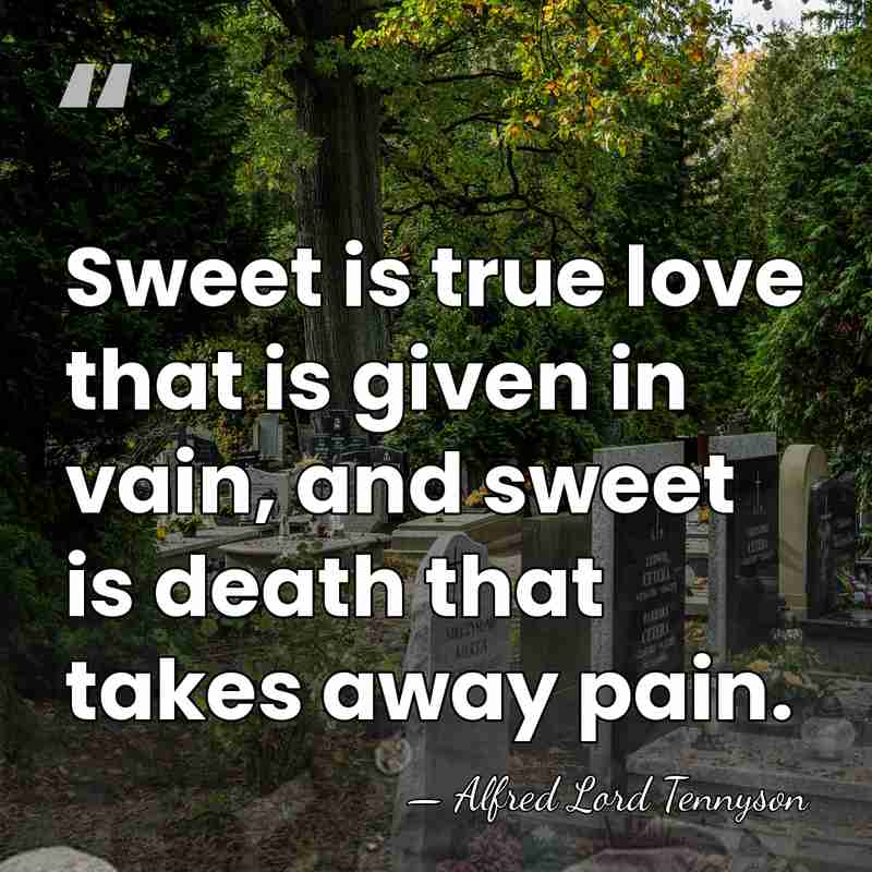 Sweet is true love that is given in vain, and sweet is&hellip; - Alfred Lord Tennyson