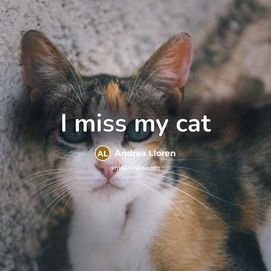 “I miss my cat” quote by Andrea Lloren