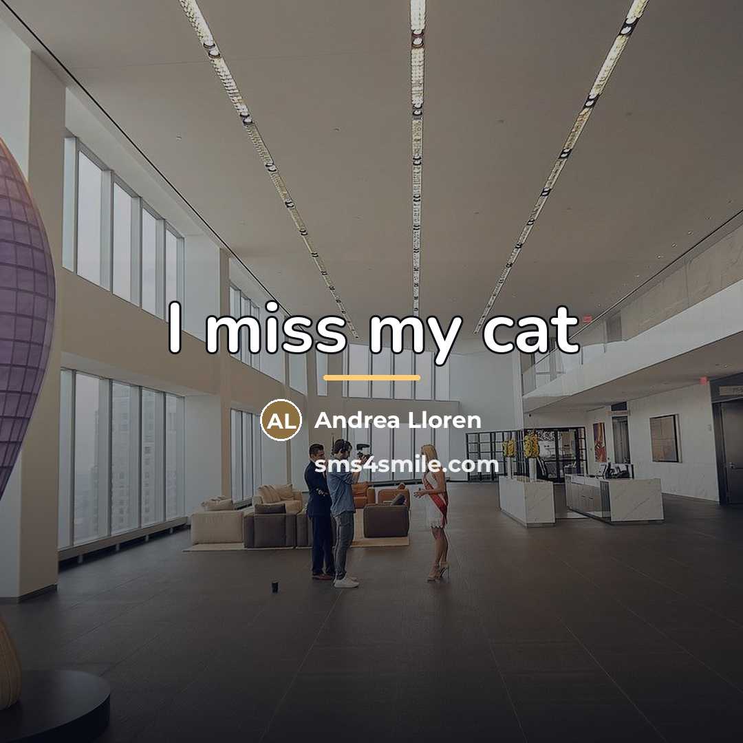 “I miss my cat…” quote by Andrea Lloren