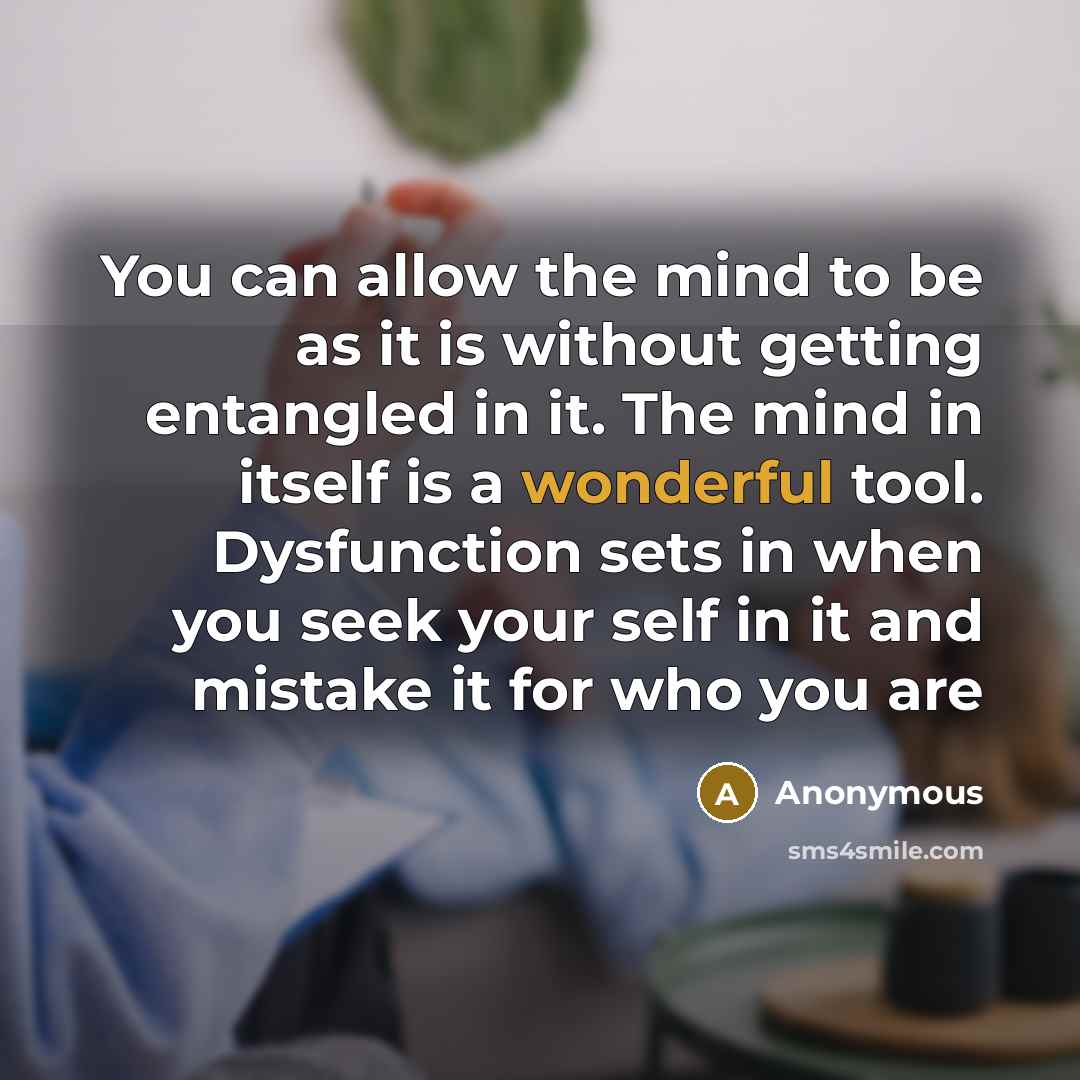 “You can allow the mind to be as it is…” quote by Anonymous