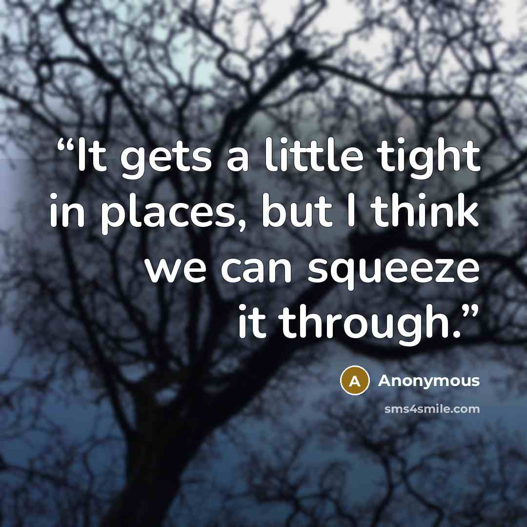 “It gets a little tight in places, but I think we can squeeze it through.” quote by Anonymous