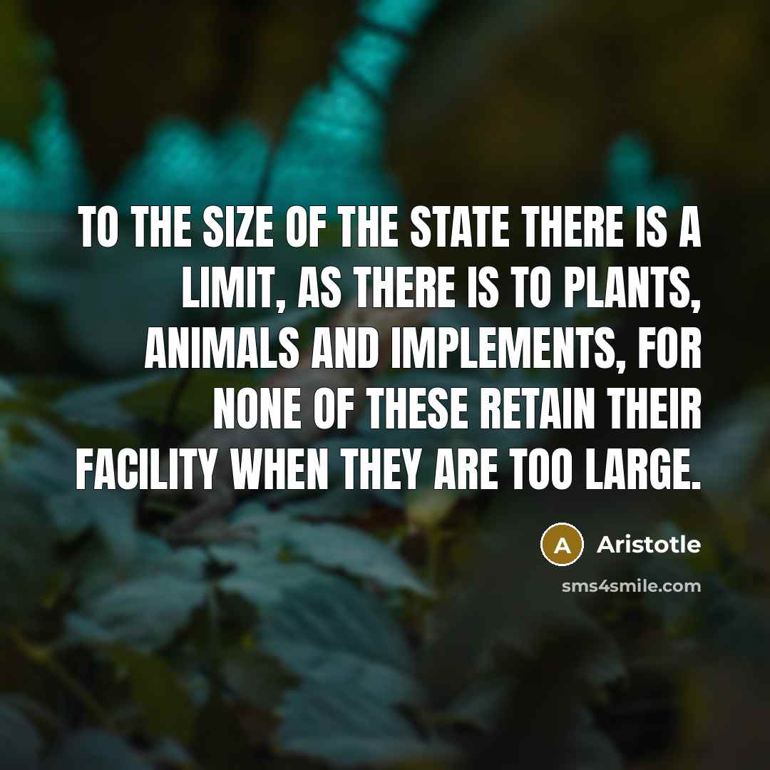 “To the size of the state there is a limit,…” quote by Aristotle