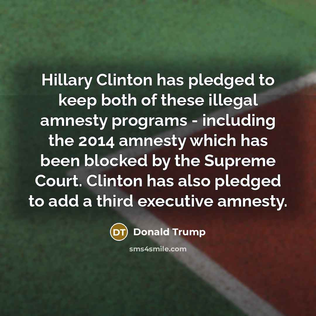 “Hillary Clinton has pledged to keep both of these illegal…” quote by Donald Trump