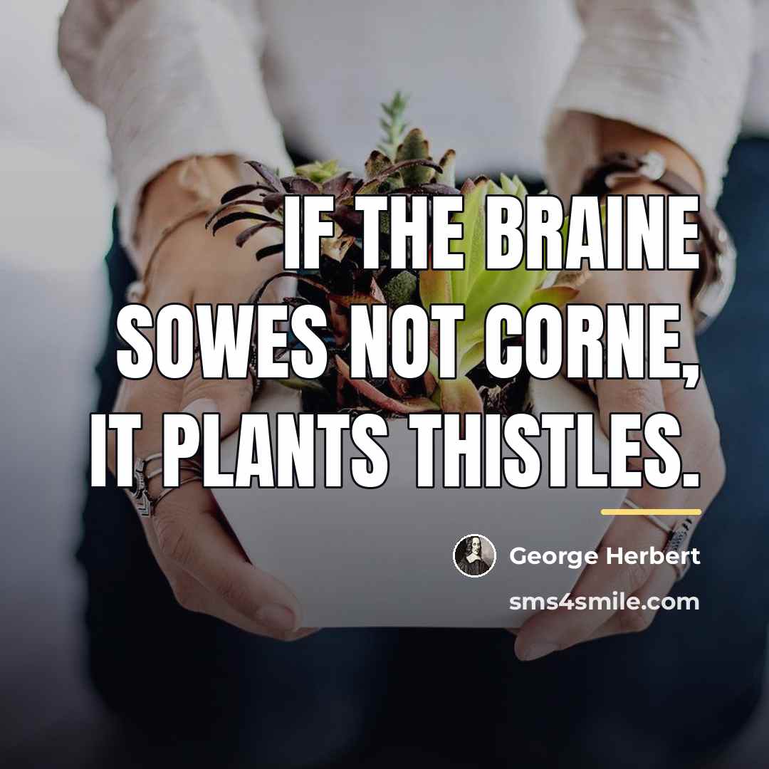 “If the braine sowes not corne, it plants thistles.…” quote by George Herbert