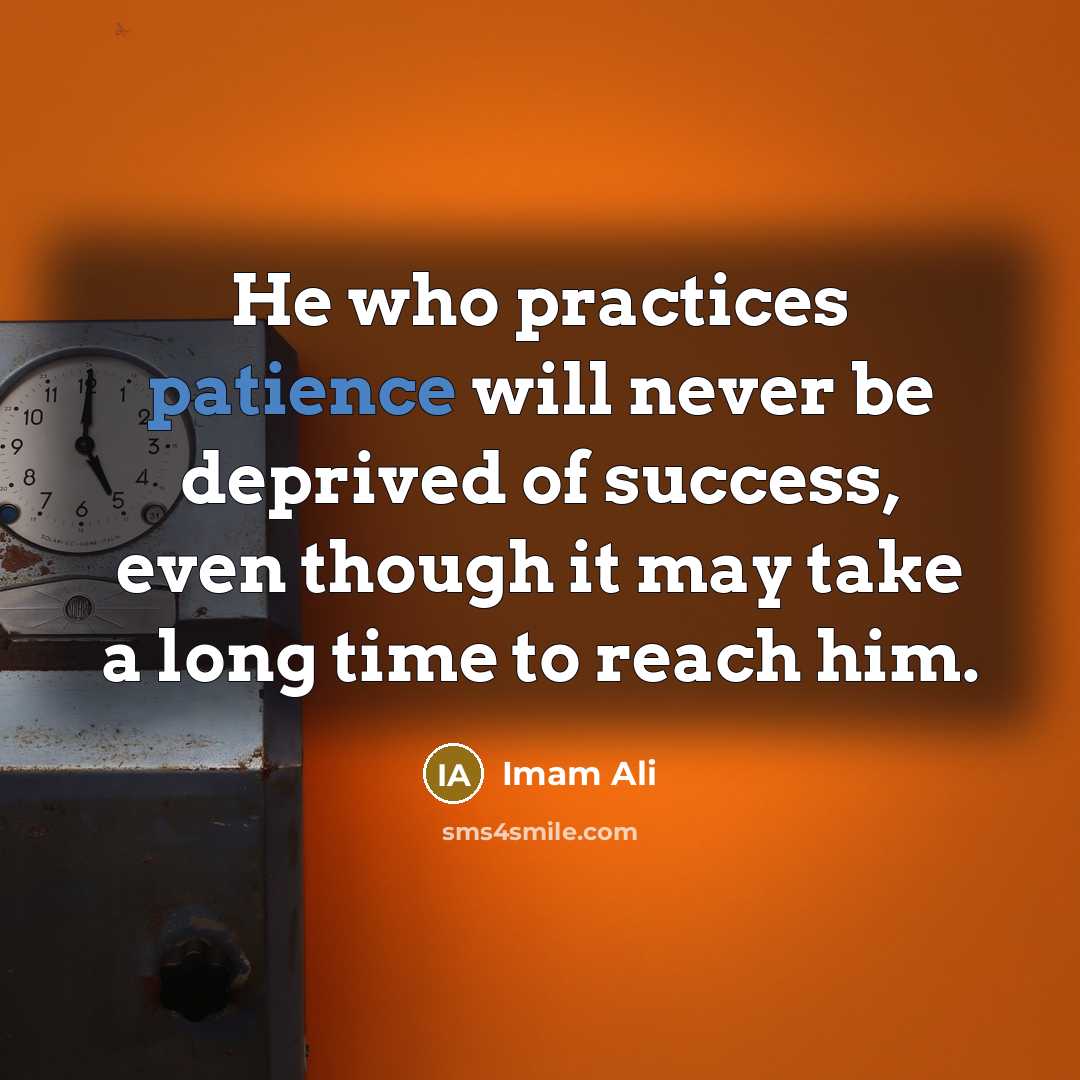 “He who practices patience will never be deprived of success,…” quote by Imam Ali