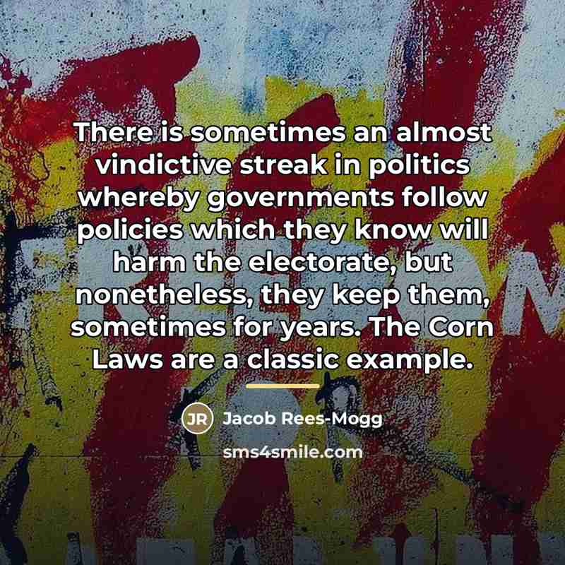 “There is sometimes an almost vindictive streak in politics whereby…” quote by Jacob Rees-Mogg