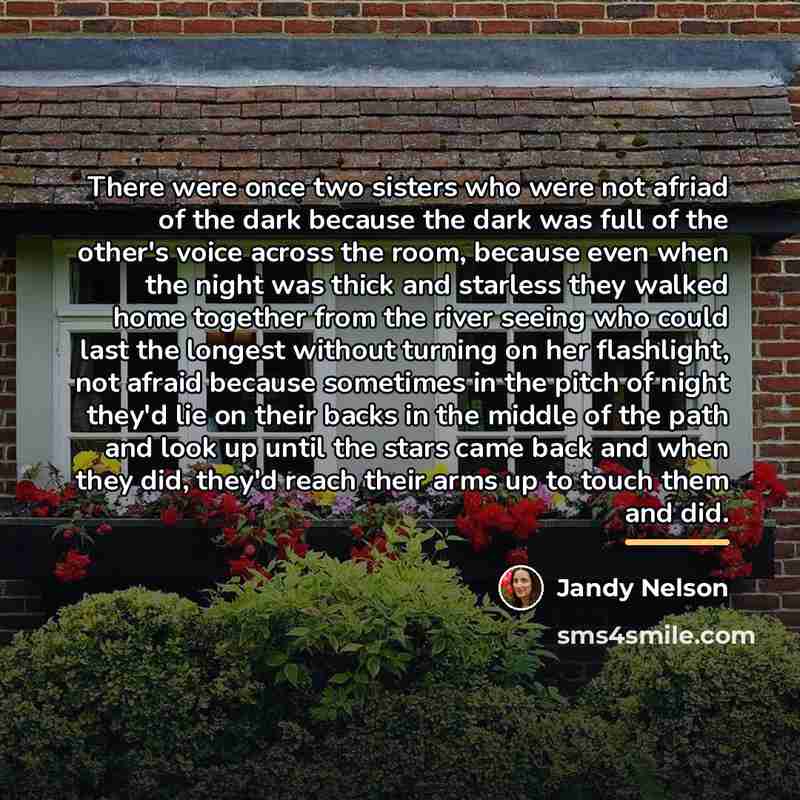 “There were once two sisters who were not afriad of…” quote by Jandy Nelson