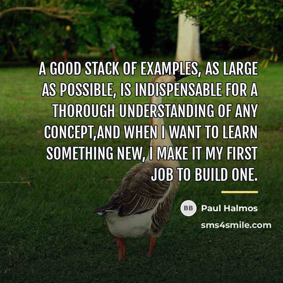 “A good stack of examples, as large as possible, is…” quote by Paul Halmos