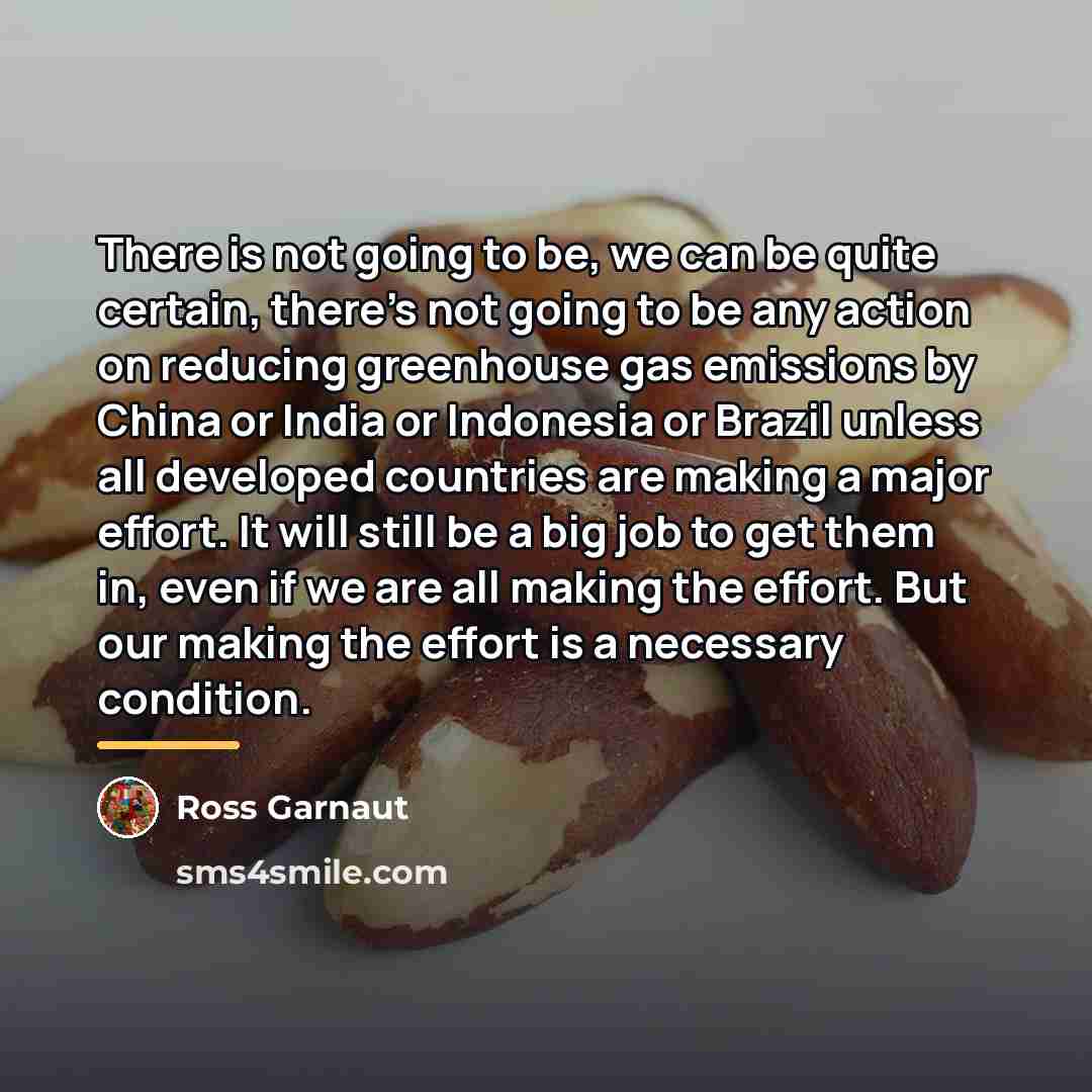 “There is not going to be, we can be quite…” quote by Ross Garnaut