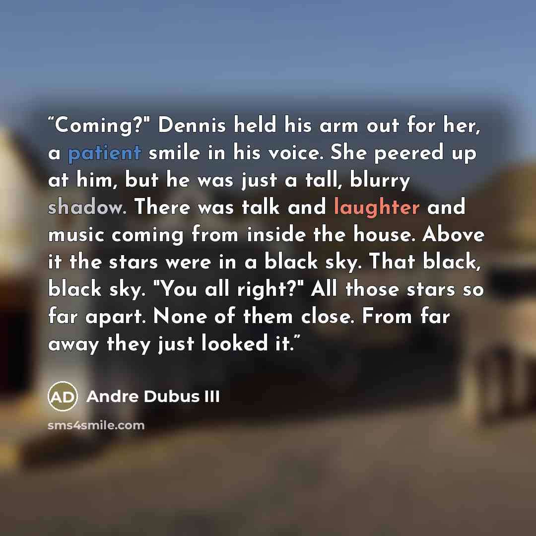“Coming?" Dennis held his arm out for her, a patient smile in his voice. She peered up at him, but he was just a tall, blurry shadow. There was talk and laughter and music coming from inside the house. Above it the stars were in a black sky. That black, black sky. "You all right?" All those stars…” quote by Andre Dubus III