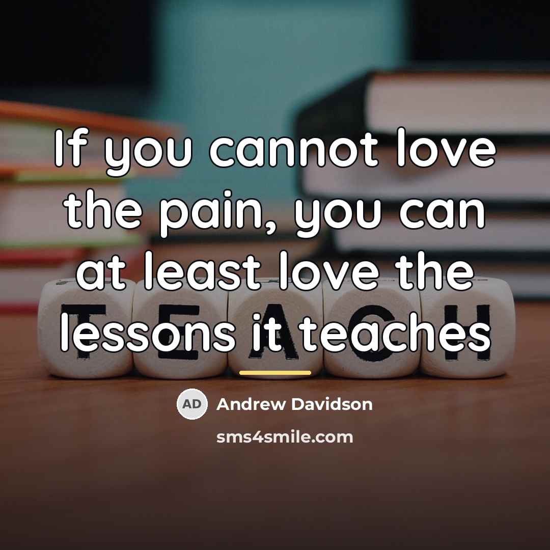 “If you cannot love the pain, you can at least…” quote by Andrew Davidson