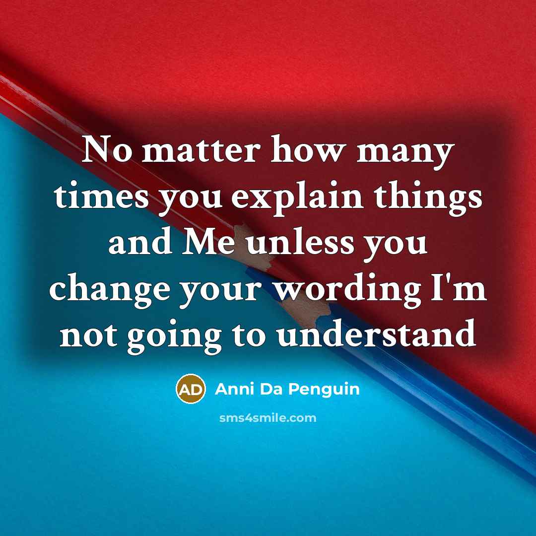 “No matter how many times you explain things and Me…” quote by Anni Da Penguin