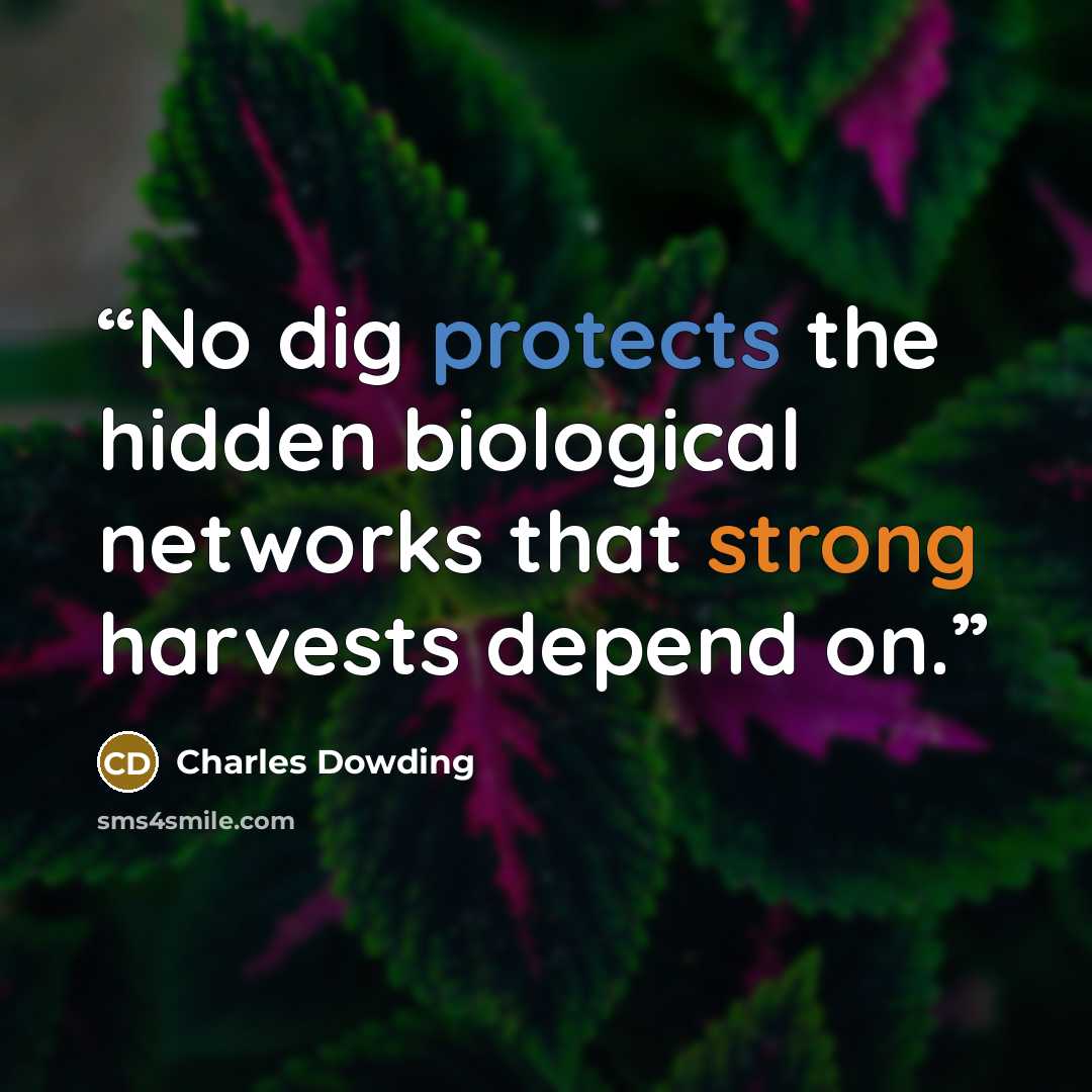 “No dig protects the hidden biological networks that strong harvests depend on.” quote by Charles Dowding
