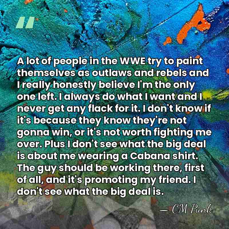 A lot of people in the WWE try to paint themselves as&hellip; - CM Punk