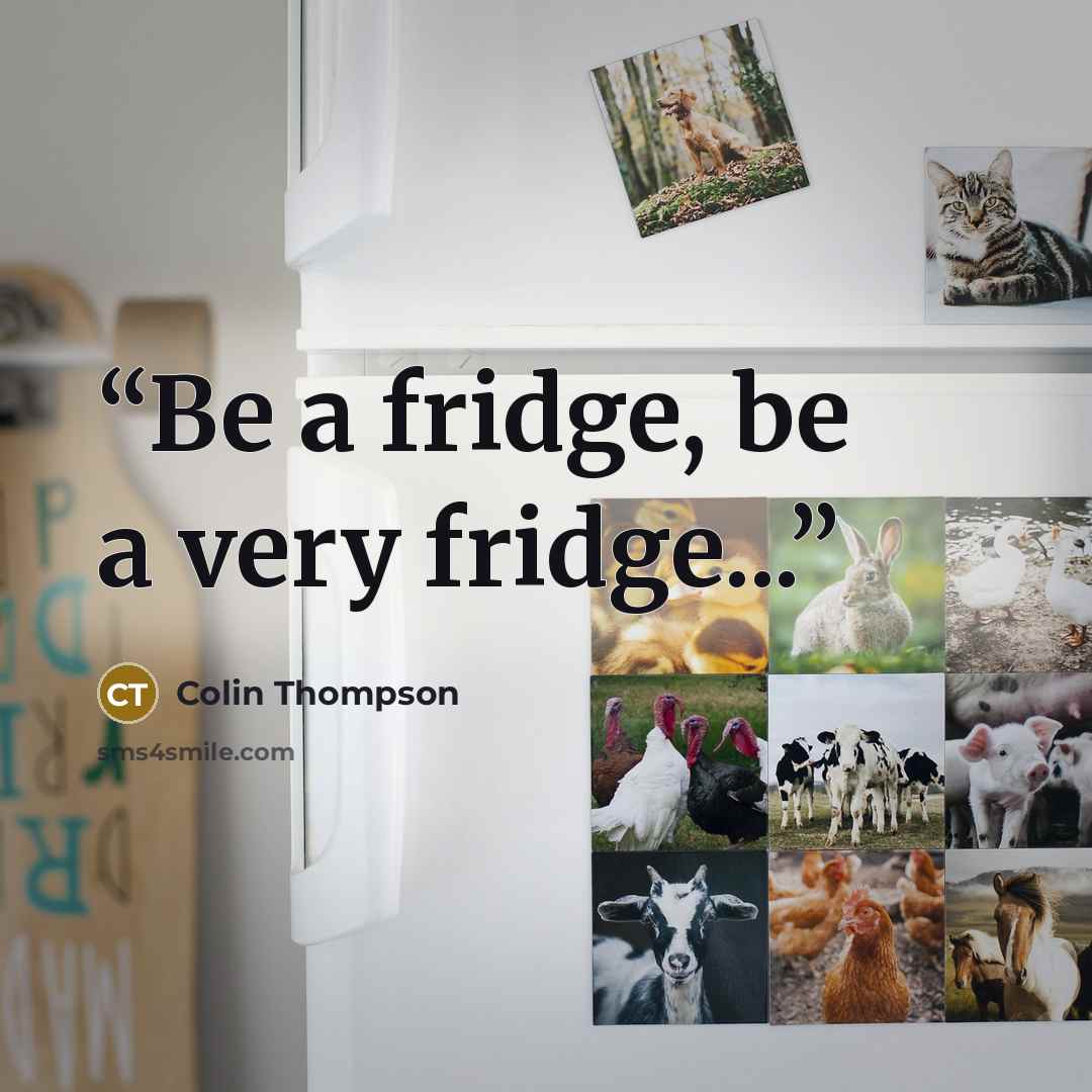 “Be a fridge, be a very fridge...” quote by Colin Thompson