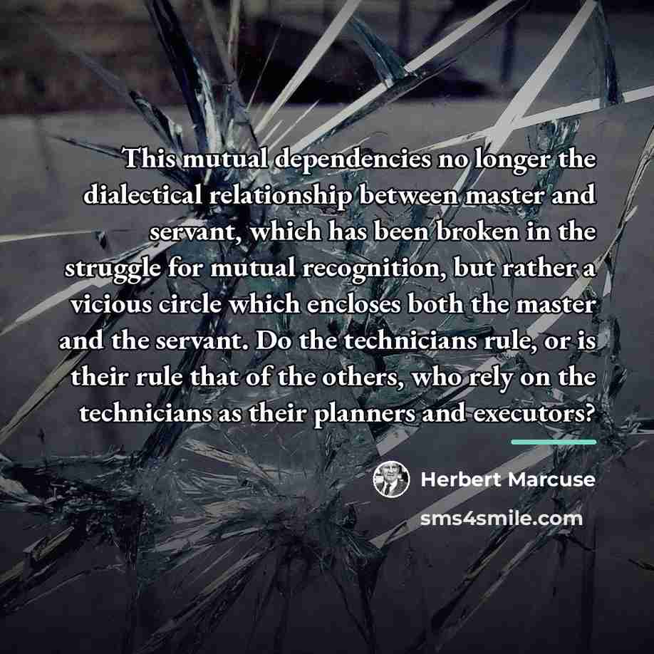 “This mutual dependencies no longer the dialectical relationship between master…” quote by Herbert Marcuse