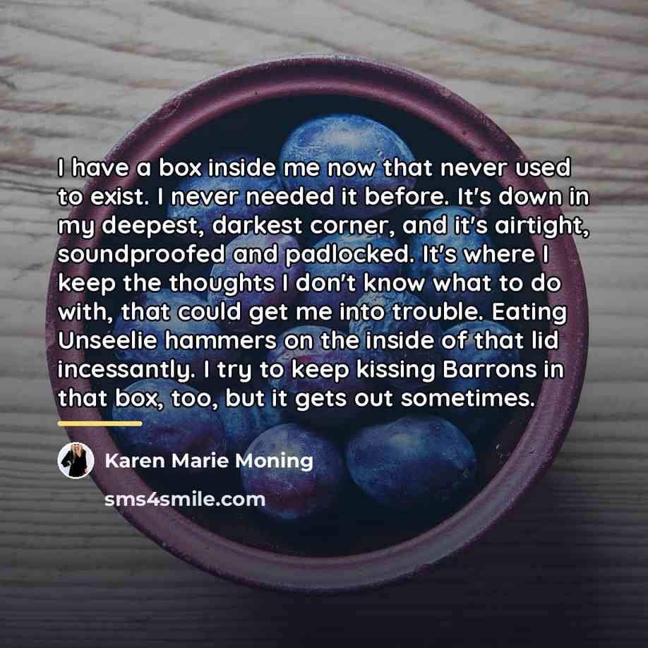 “I have a box inside me now that never used…” quote by Karen Marie Moning