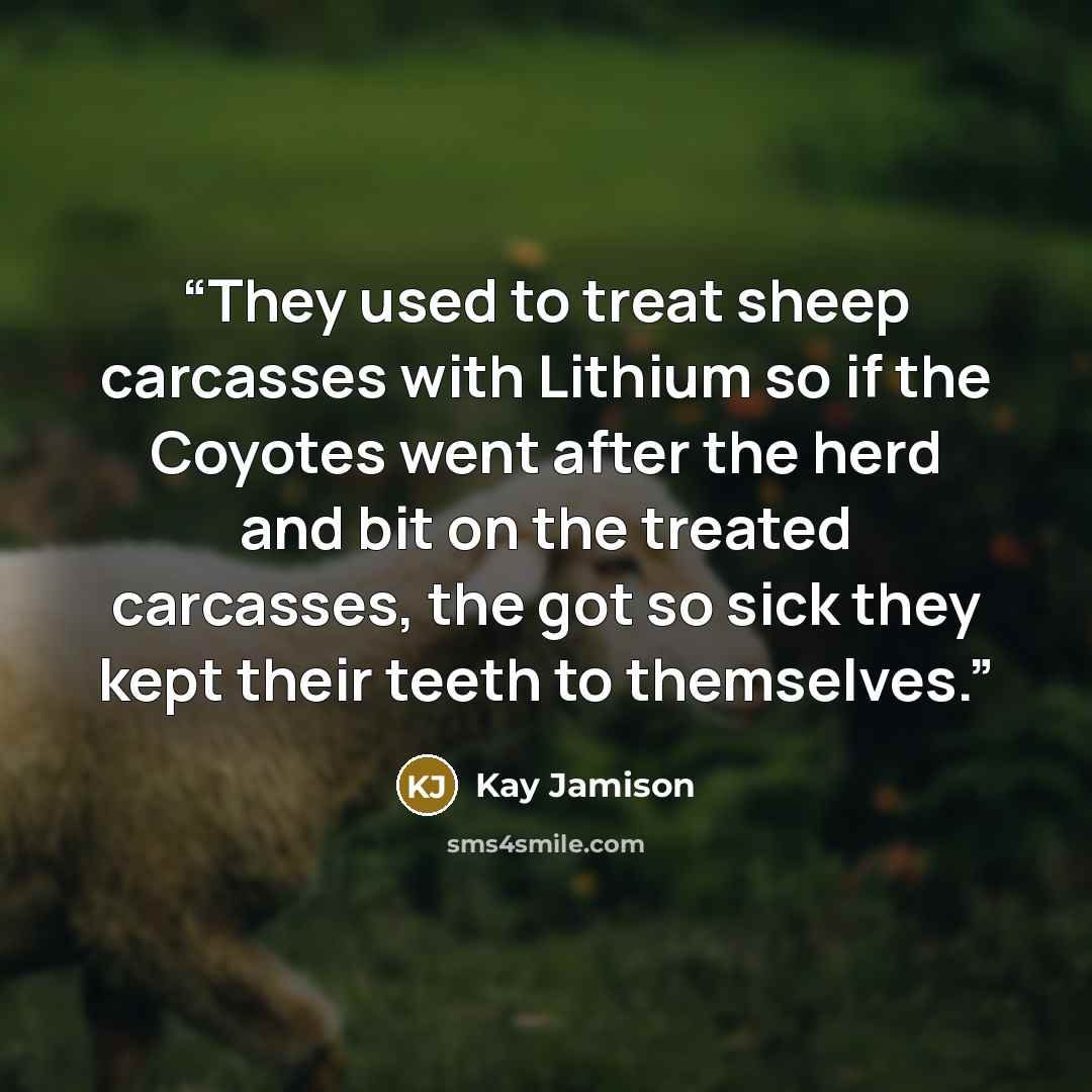 “They used to treat sheep carcasses with Lithium so if the Coyotes went after the herd and bit on the treated carcasses, the got so sick they kept their teeth to themselves.” quote by Kay Jamison