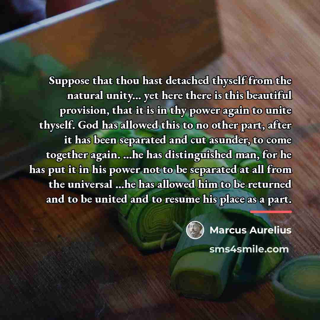 “Suppose that thou hast detached thyself from the natural unity...…” quote by Marcus Aurelius