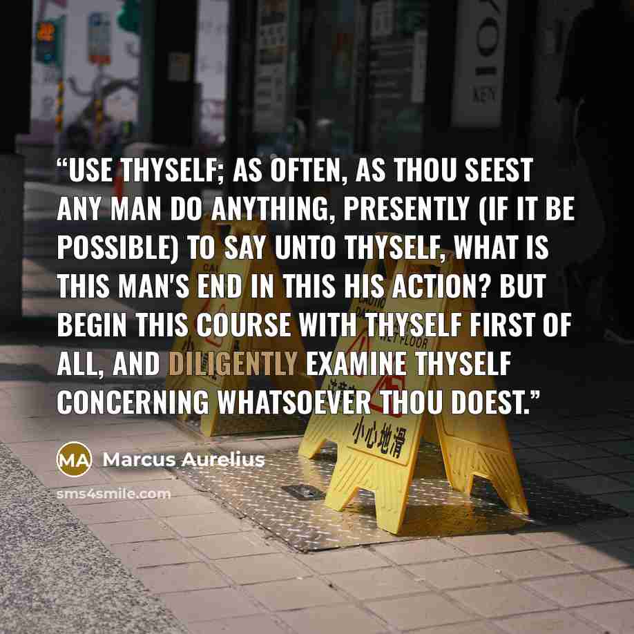 “Use thyself; as often, as thou seest any man do anything, presently (if it be possible) to say unto thyself, What is this man's end in this his action? But begin this course with thyself first of all, and diligently examine thyself concerning whatsoever thou doest.” quote by Marcus Aurelius