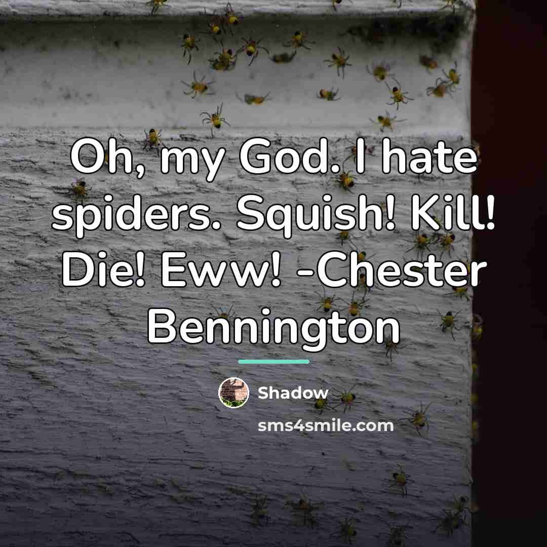 “Oh, my God. I hate spiders. Squish! Kill! Die! Eww!…” quote by Shadow