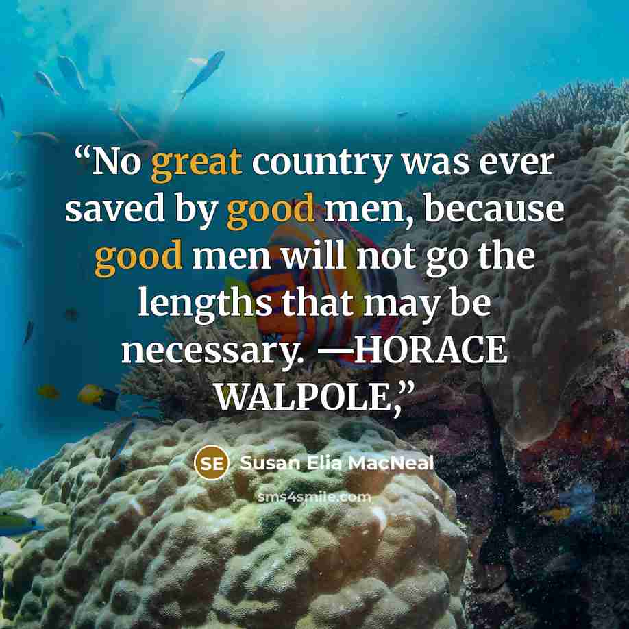 “No great country was ever saved by good men, because good men will not go the lengths that may be necessary. —HORACE WALPOLE,” quote by Susan Elia MacNeal