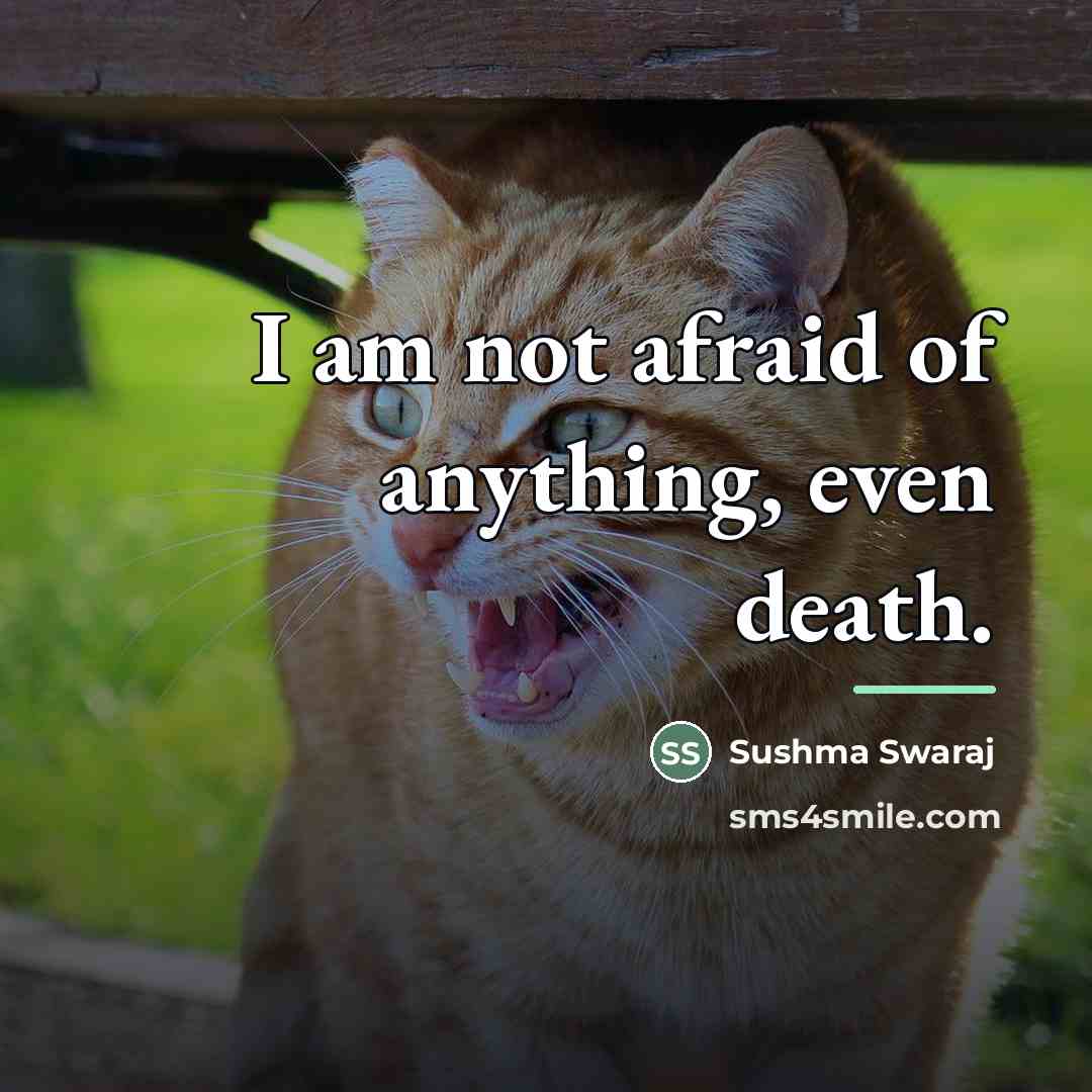 “I am not afraid of anything, even death.…” quote by Sushma Swaraj