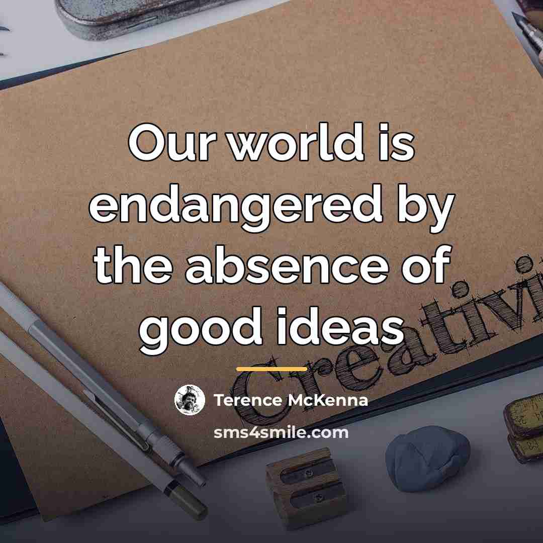 “Our world is endangered by the absence of good ideas…” quote by Terence McKenna