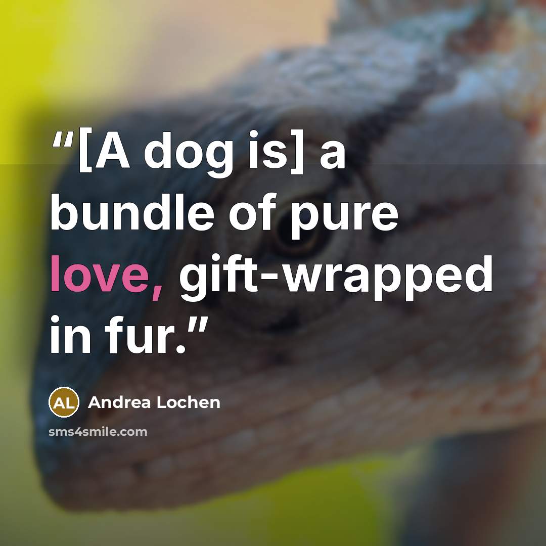 “[A dog is] a bundle of pure love, gift-wrapped in fur.” quote by Andrea Lochen